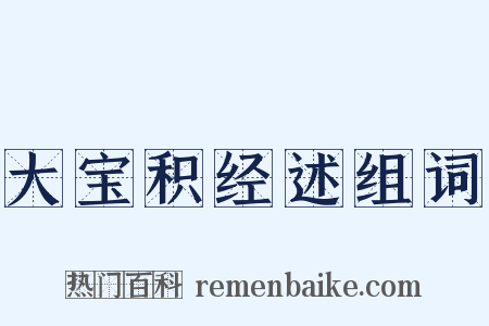 大宝积经述组词是什么意思的图片